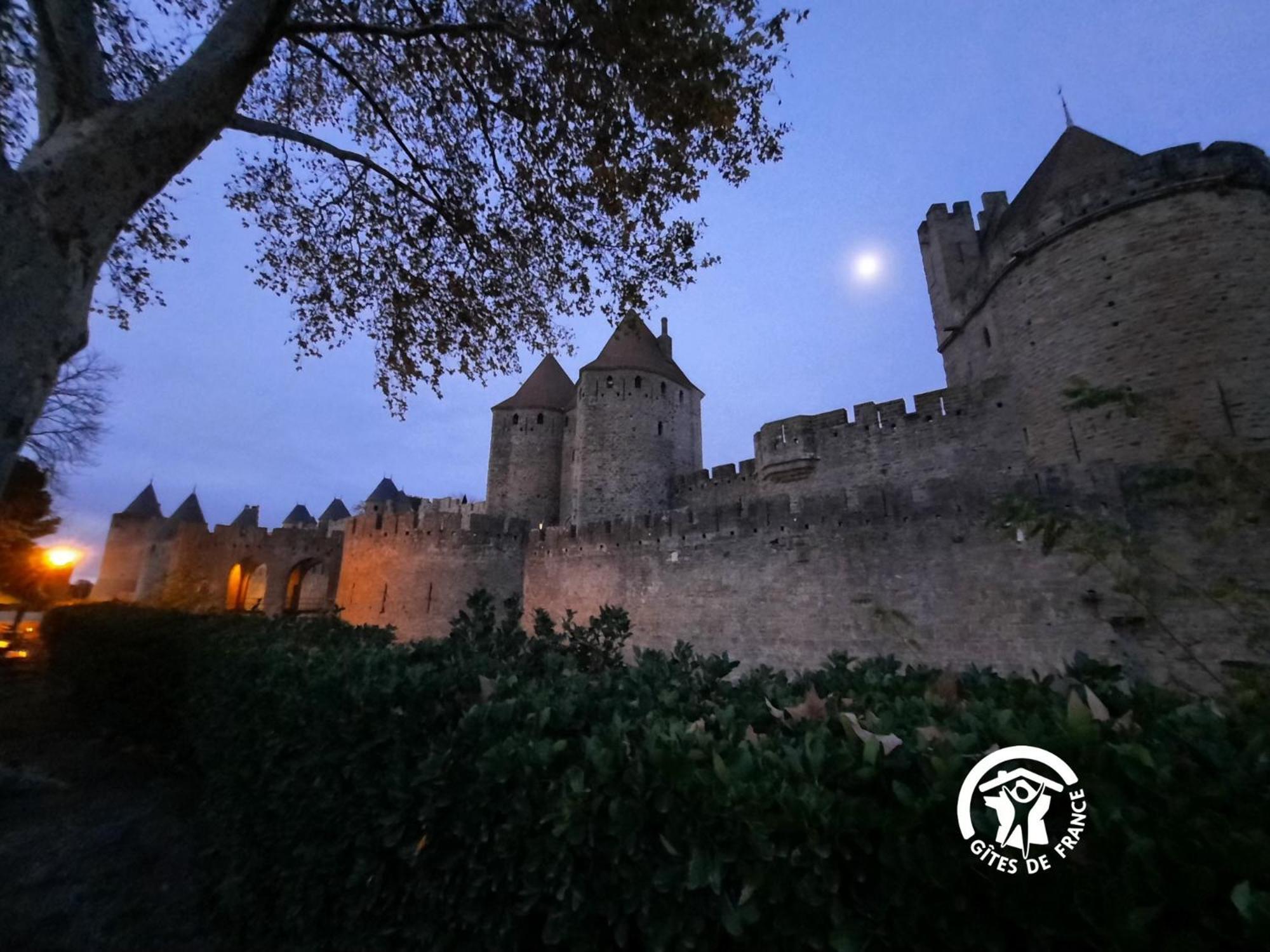 Loft Cocon Climatise - Imprenable Vue Sur Le Chateau Comtal Carcassonne Exteriér fotografie